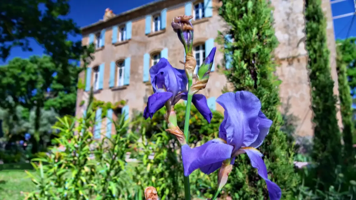 le bâtiment de la Bastide des grands chênes
