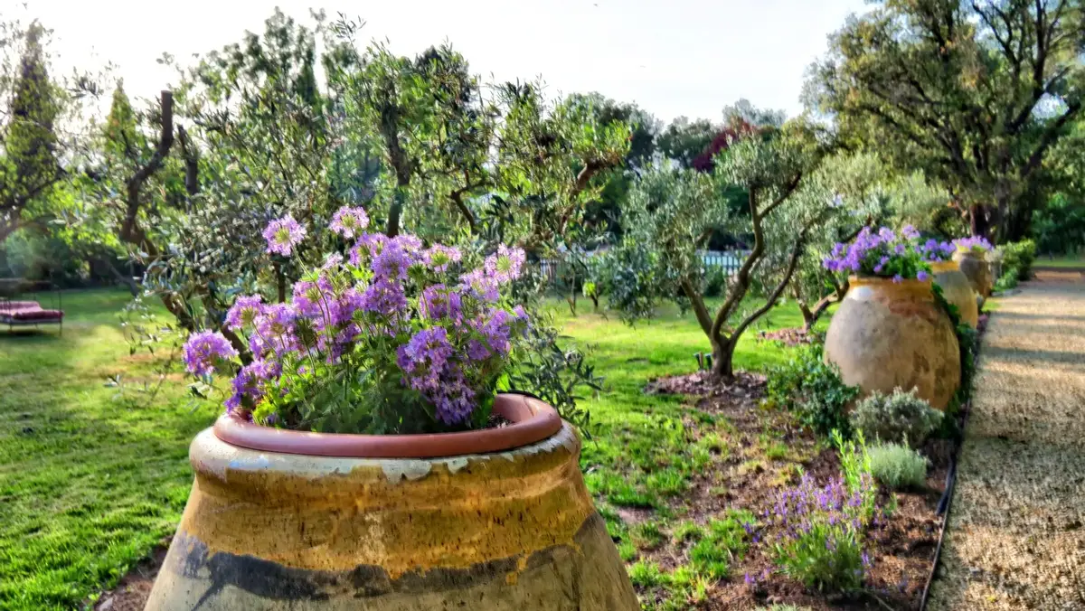 Piscine de la Bastide des grands chênes